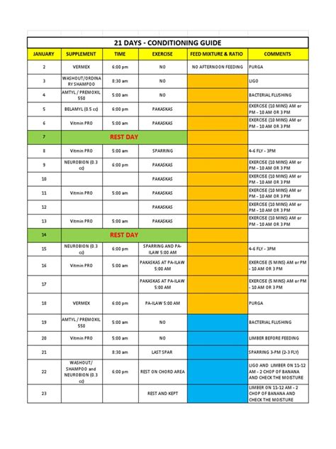 21 days conditioning guide